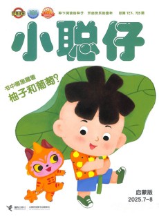 小聪仔婴儿版